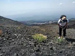 C7娱乐中国-关于卡塔尼亚主场告捷，向着保级目标迈进的信息