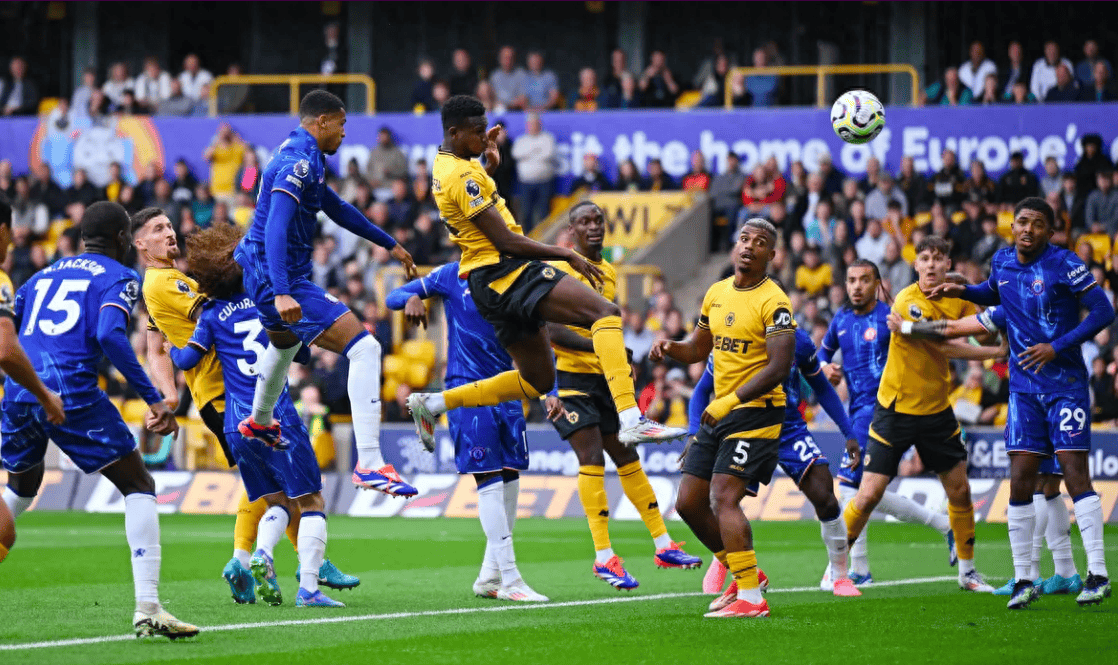 C7娱乐中国-雄狼队迎来新任主教练，期待改写辉煌历史(雄育队全文)