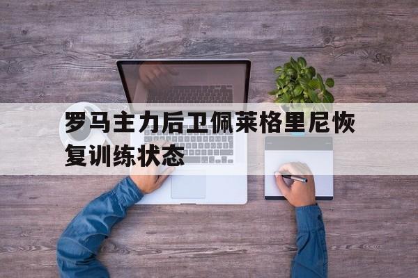 官网入口-关于罗马主力后卫佩莱格里尼恢复训练状态的信息
